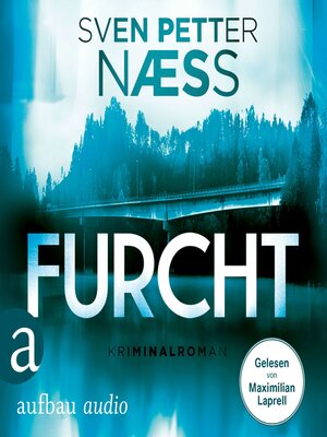 cover image of Furcht--Team Oslo ermittelt, Band 2 (Gekürzt)